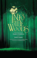 This is an image of the Into the Woods poster. (2017)